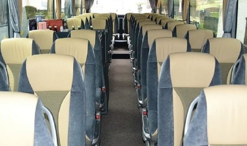 Austria: Coach operator in Burgenland in Burgenland and Rust